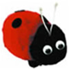 COCCINELLE-BUGS0921